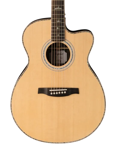 Prs Acoustics Up Close 1