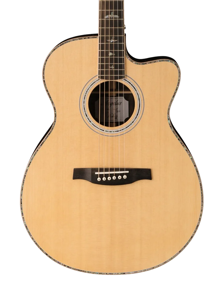 Prs Acoustics Up Close 1