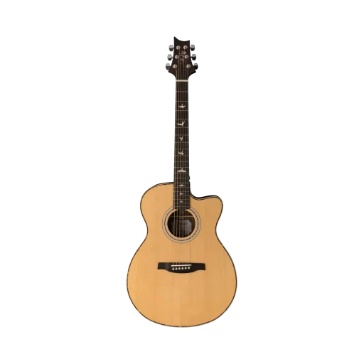 Prs Acoustics 12