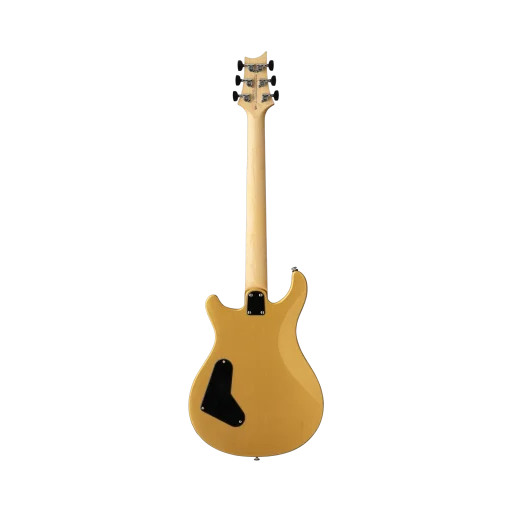 SE CE 24 Standard Metallic Gold 29