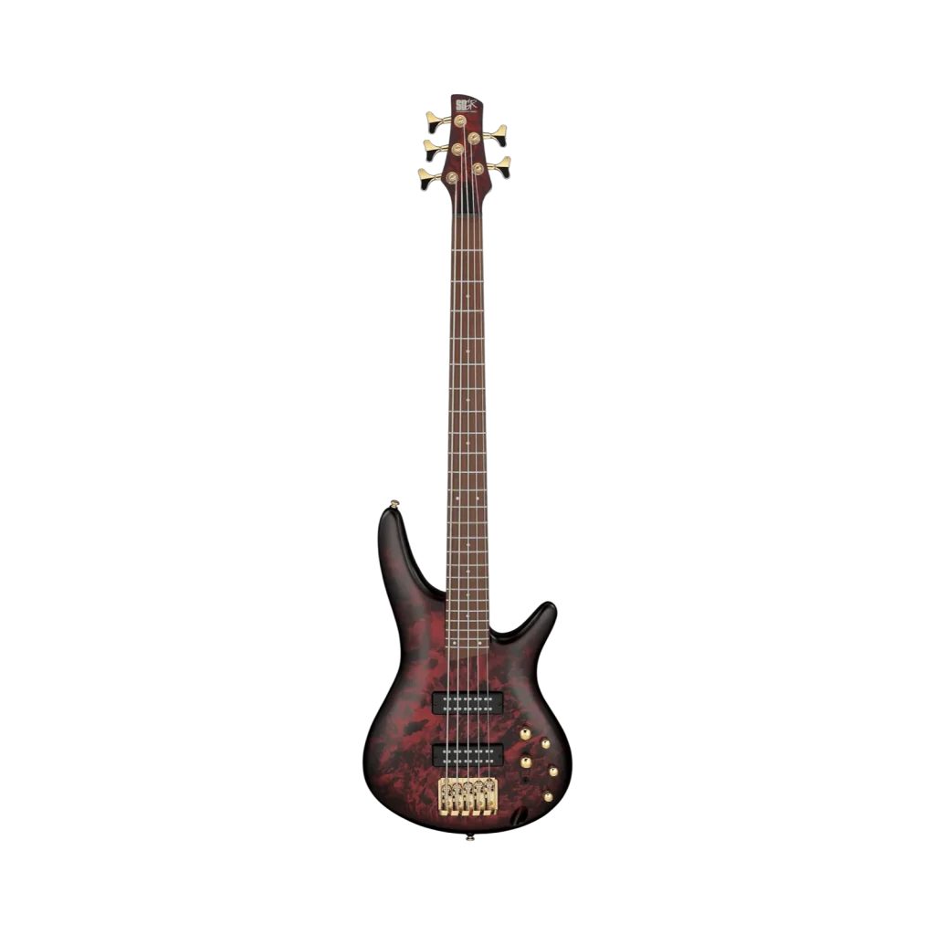 Ibanez SR Standard SR305EDX  WRFM Full Body 5