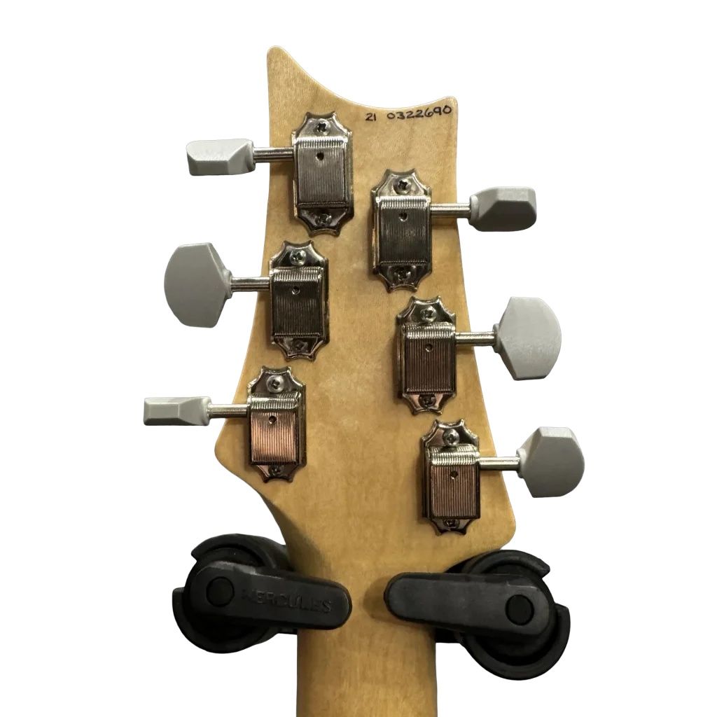PRS B STOCK Silversky Mocca Sand Gloss 1