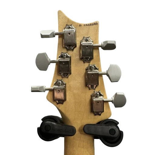 PRS B STOCK Silversky Mocca Sand Gloss 1