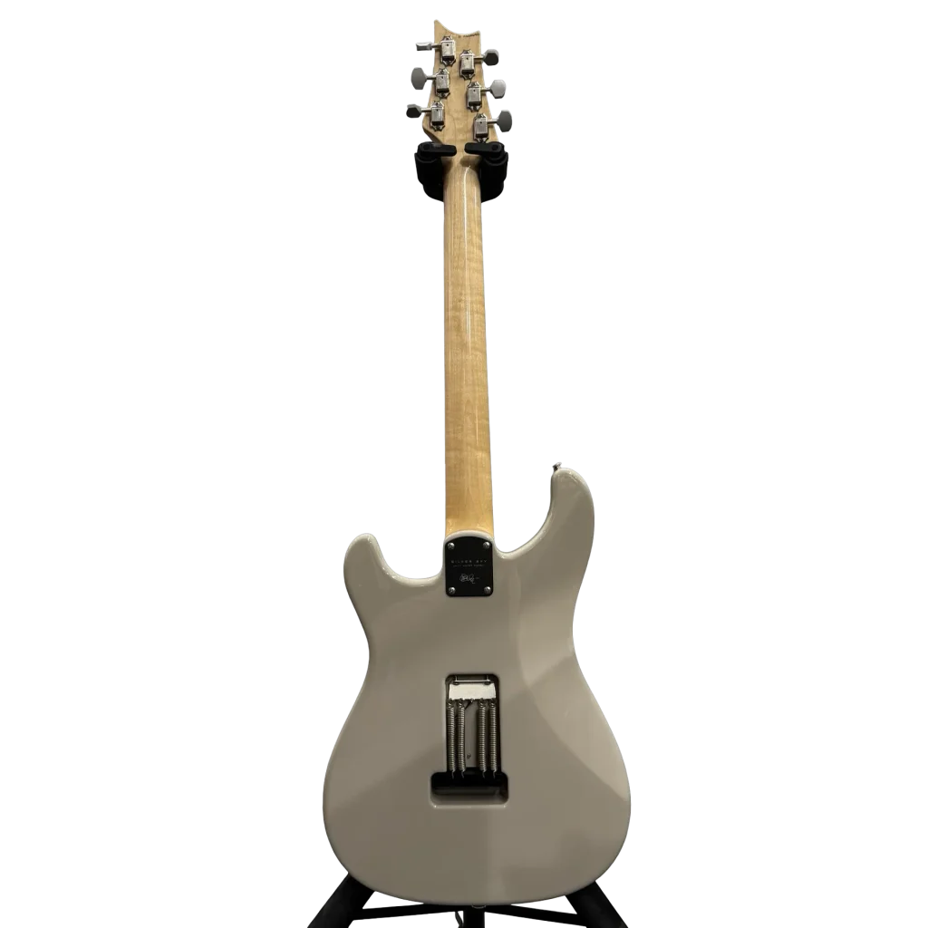 PRS B STOCK Silversky Mocca Sand Gloss 2