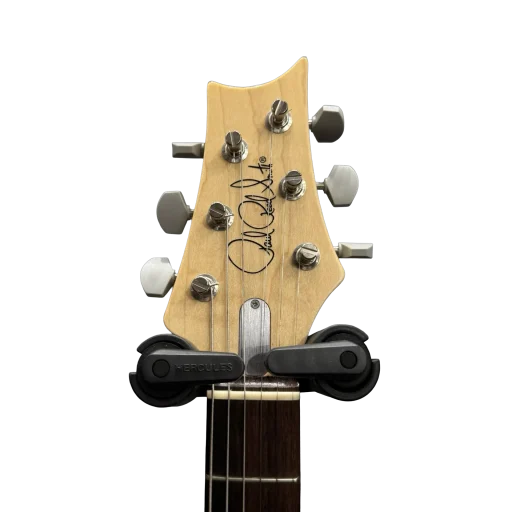 PRS B STOCK Silversky Mocca Sand Gloss 4